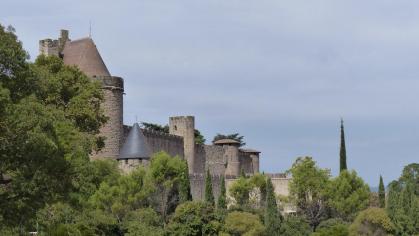 Carcassonne 013